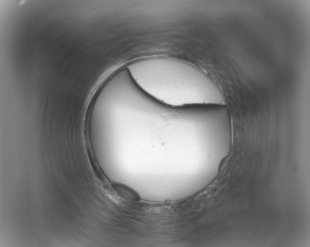 X0000067910147200604131117