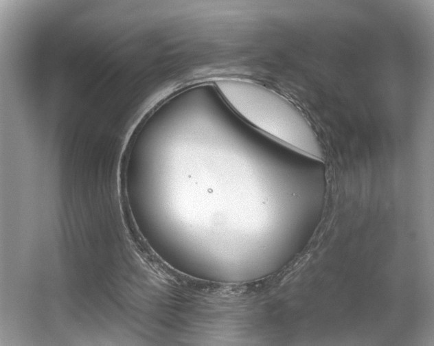 X0000067910148200604131117