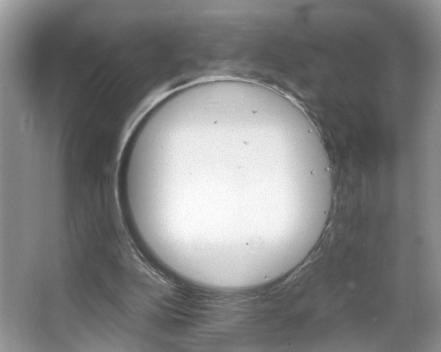 X0000067910152200604131117