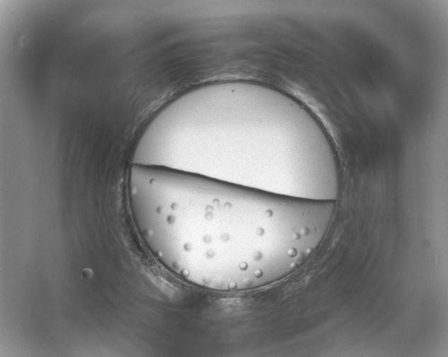 X0000067910153200604131117