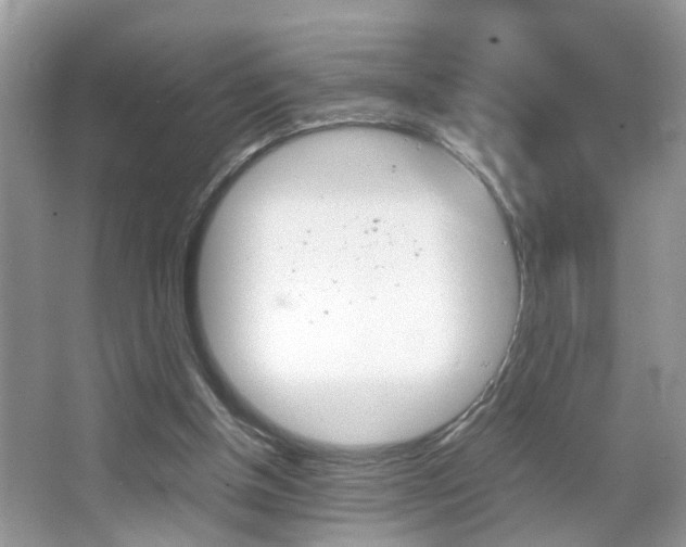 X0000067910154200604131117