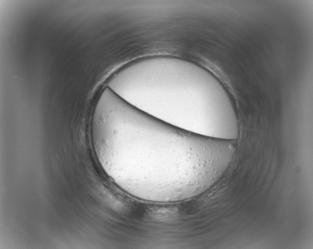 X0000067910155200604131117