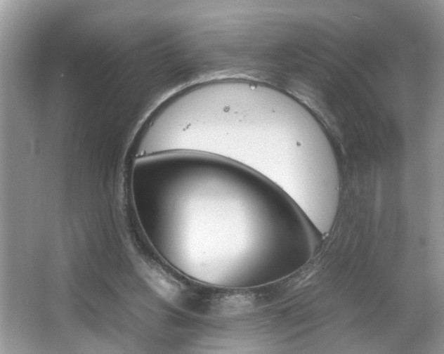 X0000067910156200604131118