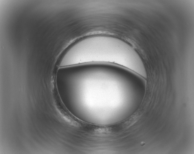 X0000067910160200604131118