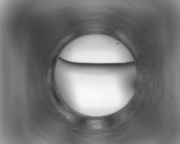 X0000067910163200604131118