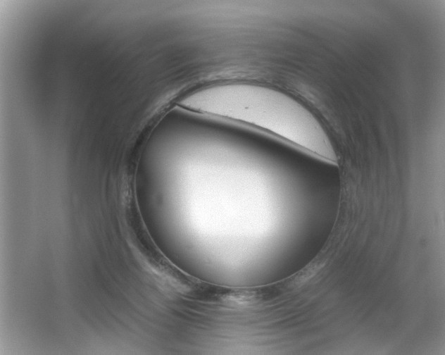 X0000067910164200604131118