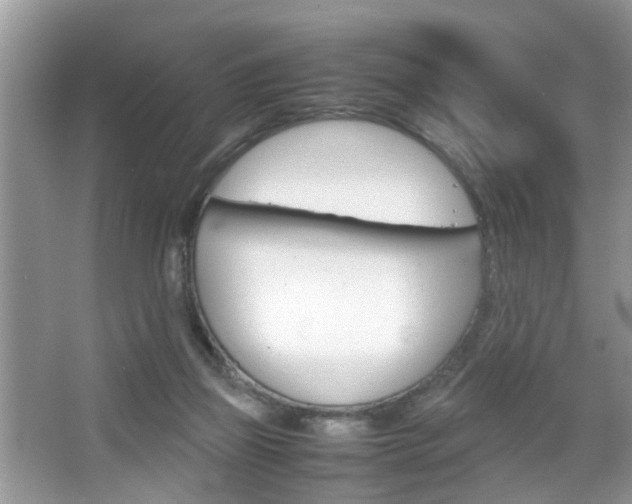 X0000067910165200604131118