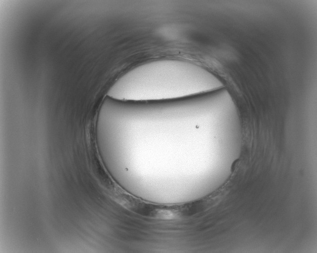 X0000067910167200604131118