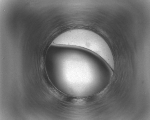 X0000067910170200604131118