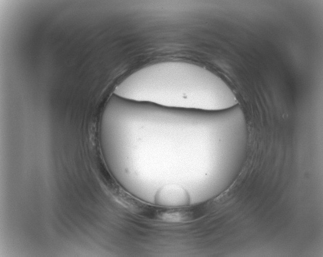 X0000067910171200604131118