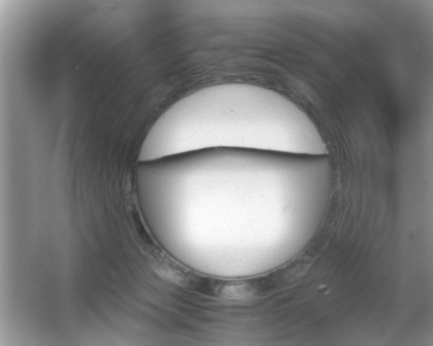 X0000067910173200604131118