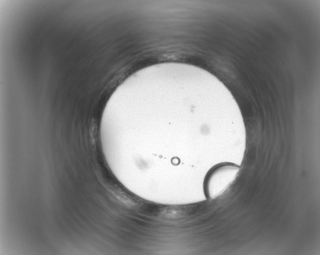 X0000067910174200604131118