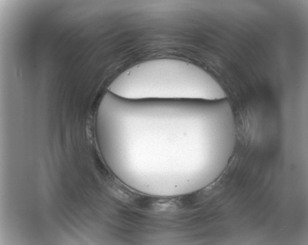 X0000067910175200604131118