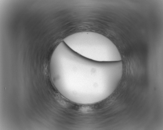 X0000067910177200604131118