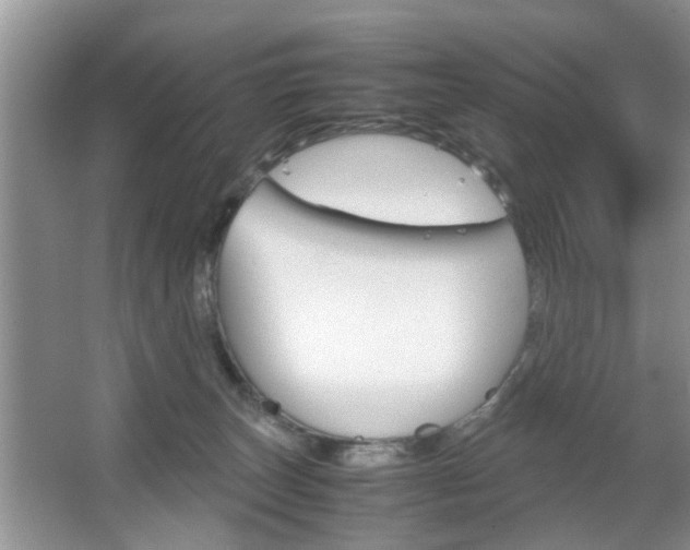 X0000067910179200604131118