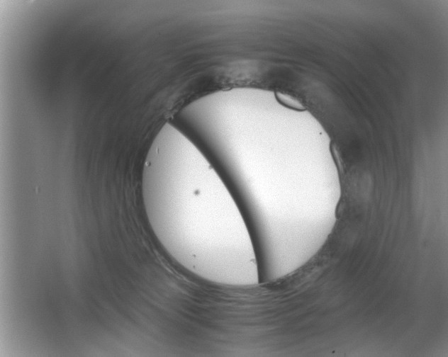 X0000067910181200604131118