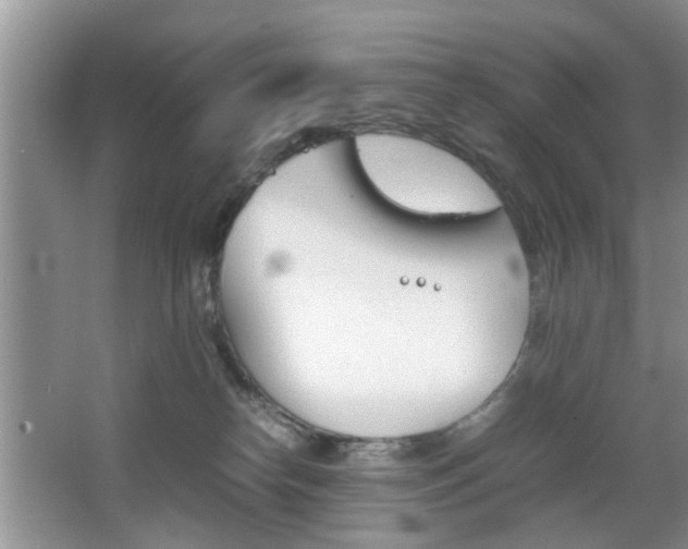 X0000067910182200604131118