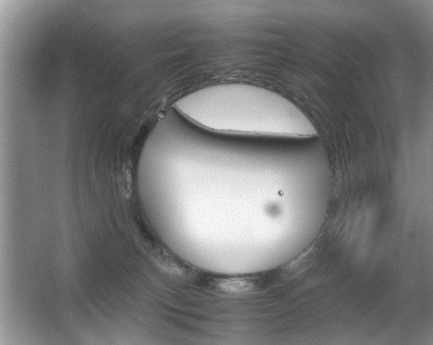 X0000067910183200604131118