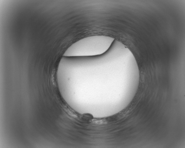 X0000067910185200604131118