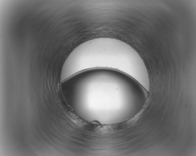 X0000067910186200604131118