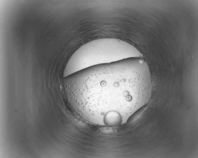 X0000067910187200604131118