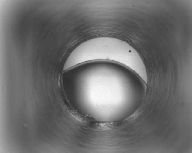 X0000067910188200604131118