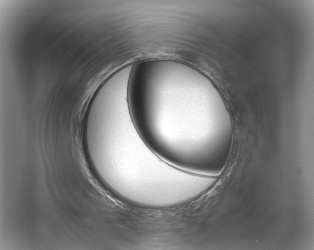 X0000067910193200604131117