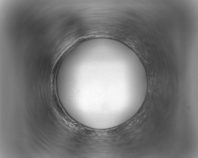 X0000067910194200604131117