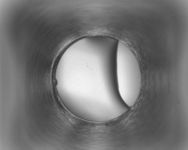 X0000067910196200604131117