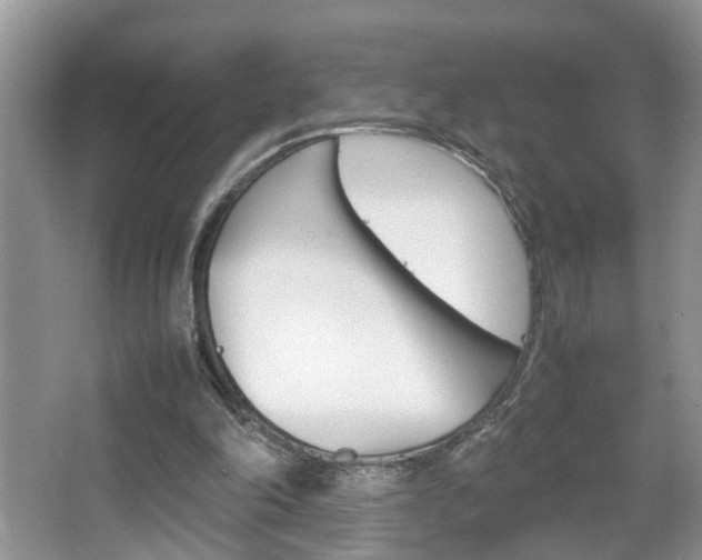 X0000067910198200604131117