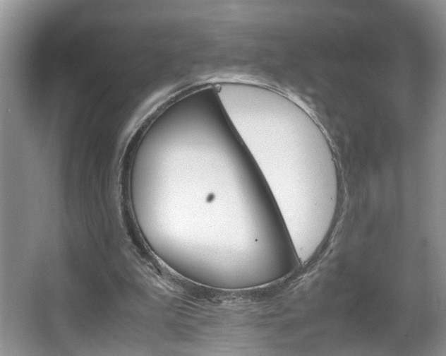 X0000067910199200604131117