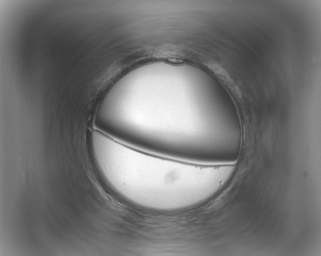 X0000067910201200604131117