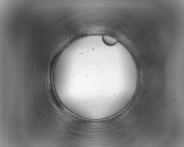 X0000067910202200604131117