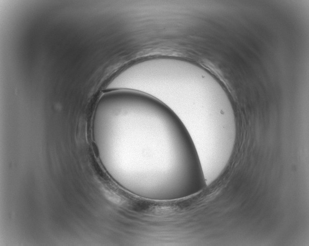 X0000067910205200604131117