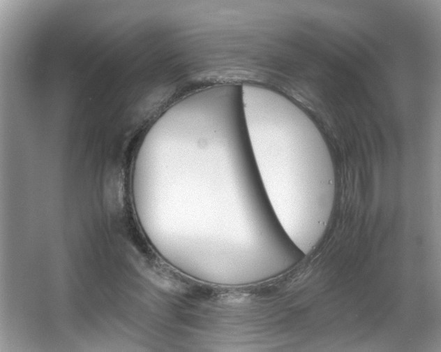 X0000067910206200604131117