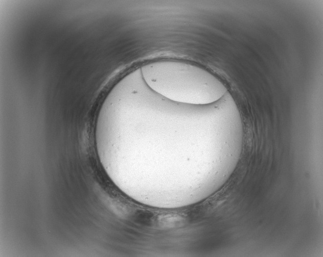 X0000067910208200604131117