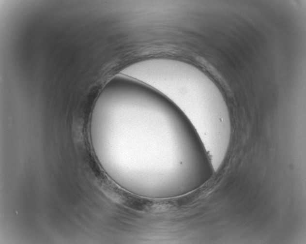 X0000067910209200604131117