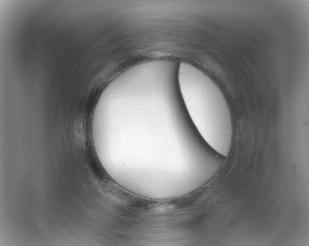 X0000067910210200604131117