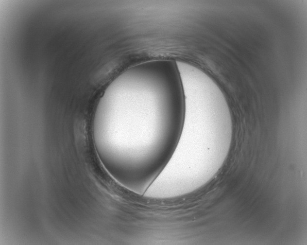 X0000067910211200604131117