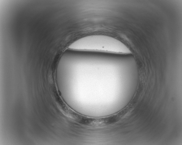 X0000067910213200604131117