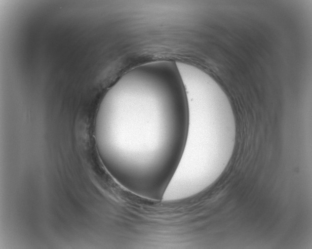 X0000067910215200604131117