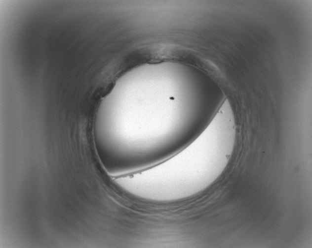 X0000067910217200604131117