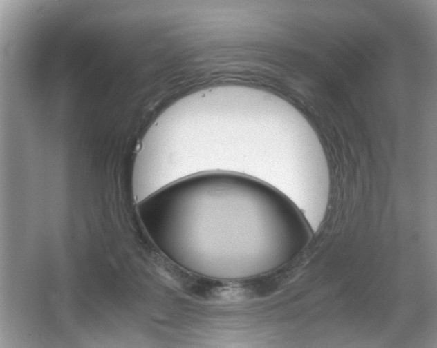 X0000067910219200604131117