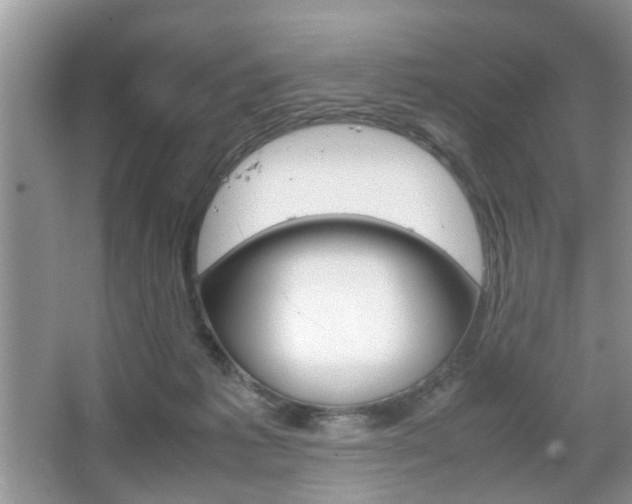 X0000067910221200604131117