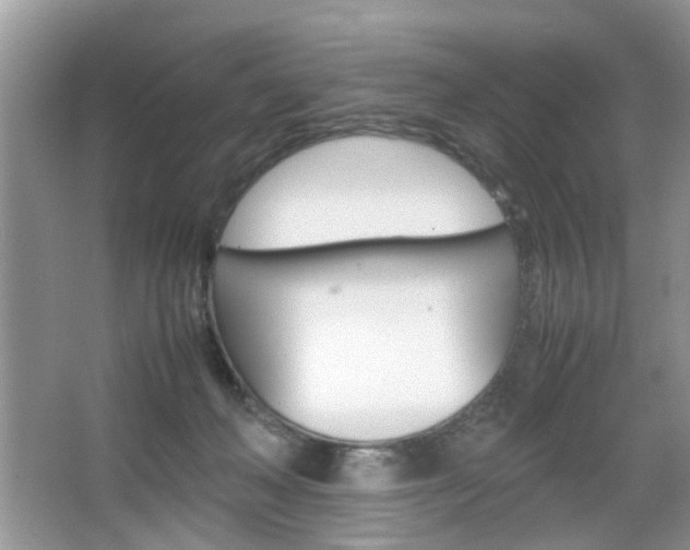 X0000067910222200604131117