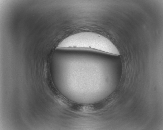 X0000067910223200604131117