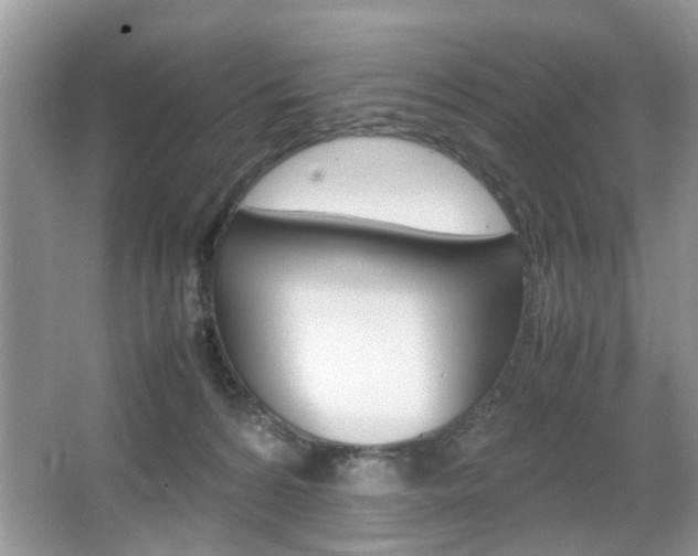 X0000067910224200604131117