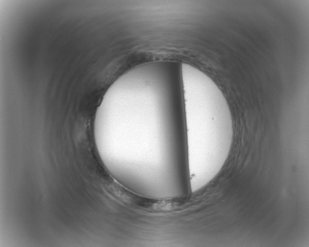 X0000067910225200604131117