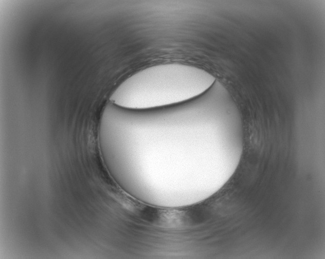 X0000067910226200604131117