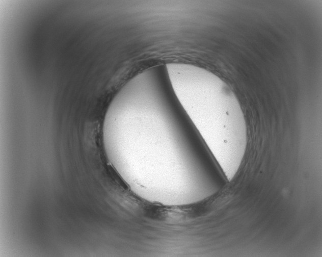 X0000067910229200604131117